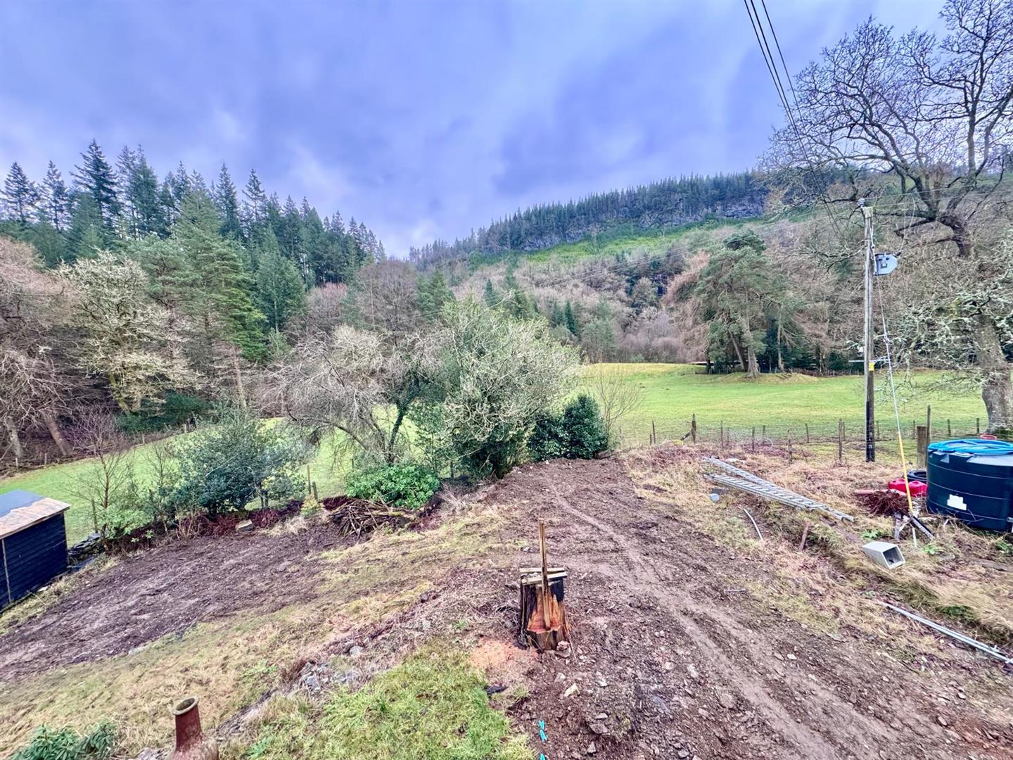 PHOTO-2026-02-04-08-55-53 (35).jpg